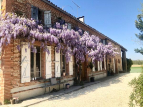 Beautiful 6 Bedroom Farm House in Tarn et Garonne